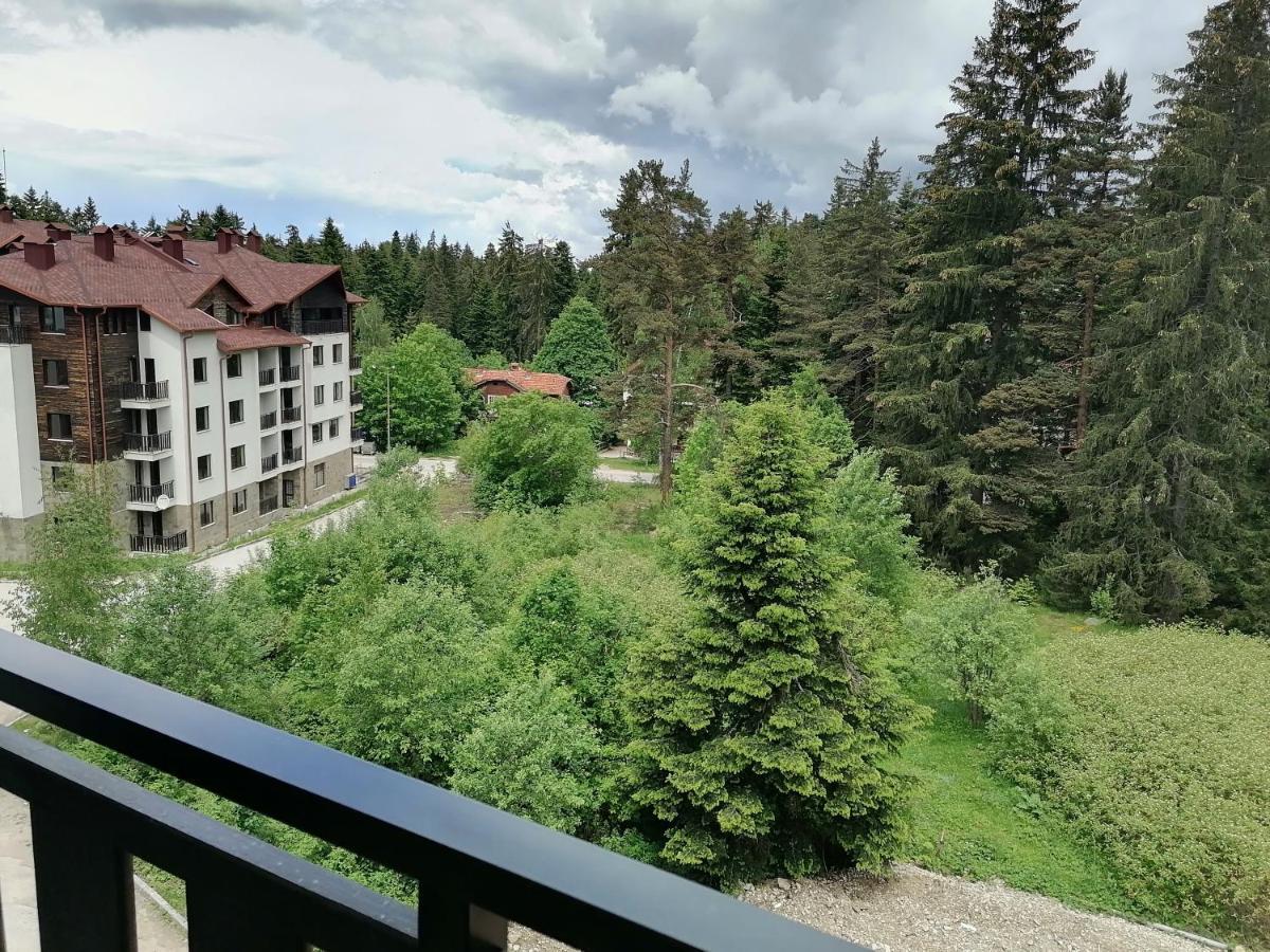 Borovets Gardens Studio D36 Εξωτερικό φωτογραφία