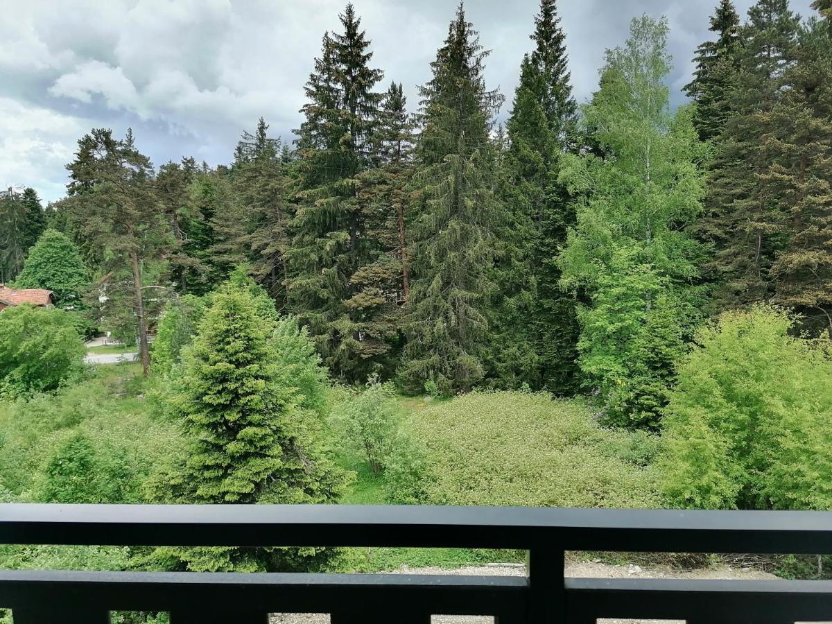 Borovets Gardens Studio D36 Εξωτερικό φωτογραφία