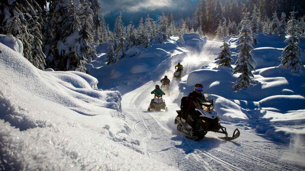 Borovets Gardens Studio D36 Εξωτερικό φωτογραφία