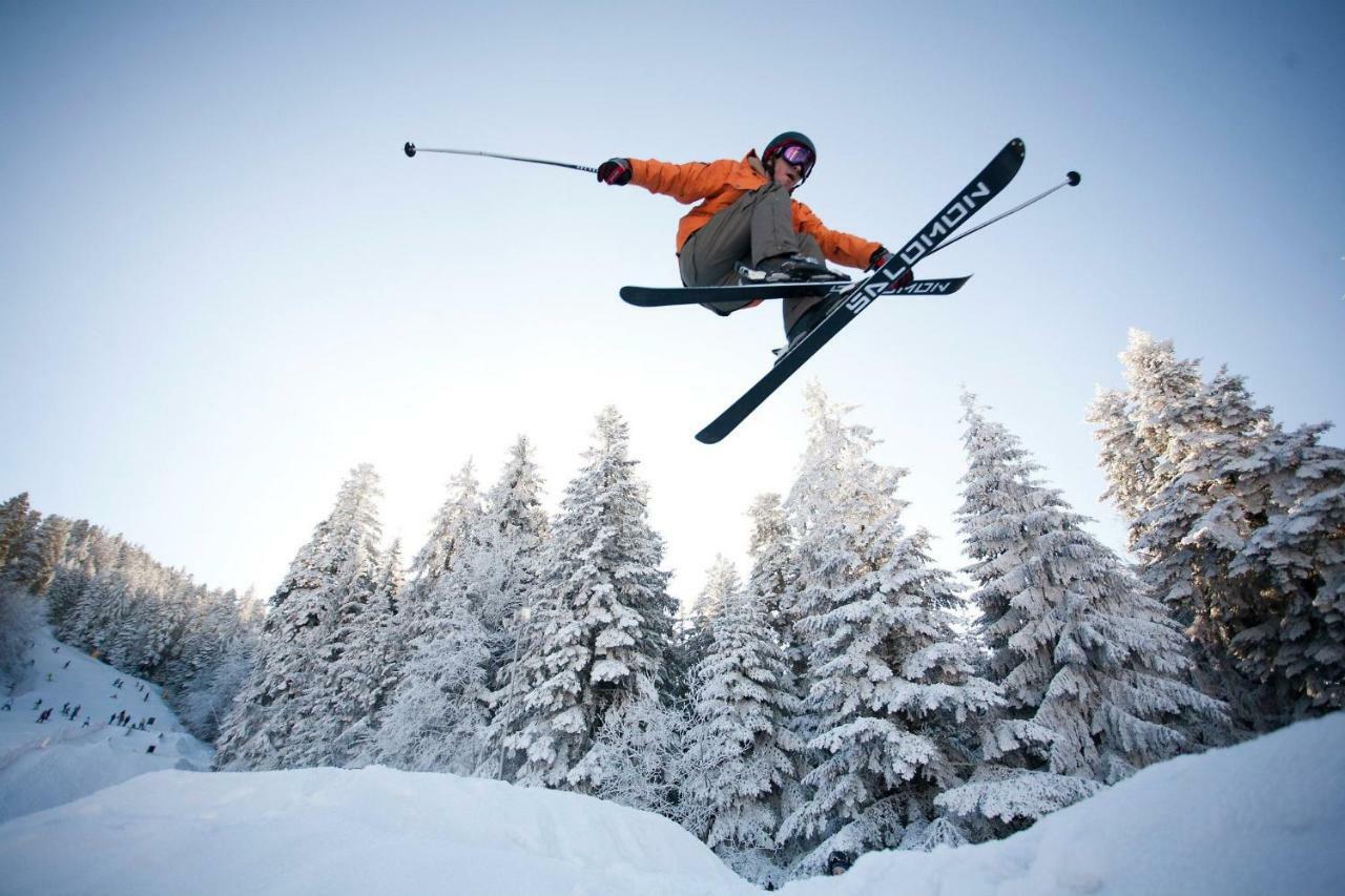 Borovets Gardens Studio D36 Εξωτερικό φωτογραφία