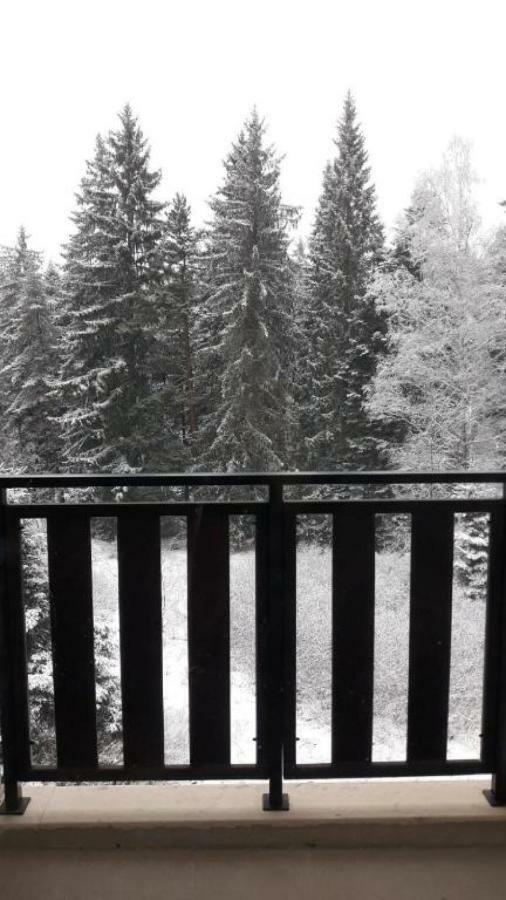 Borovets Gardens Studio D36 Εξωτερικό φωτογραφία