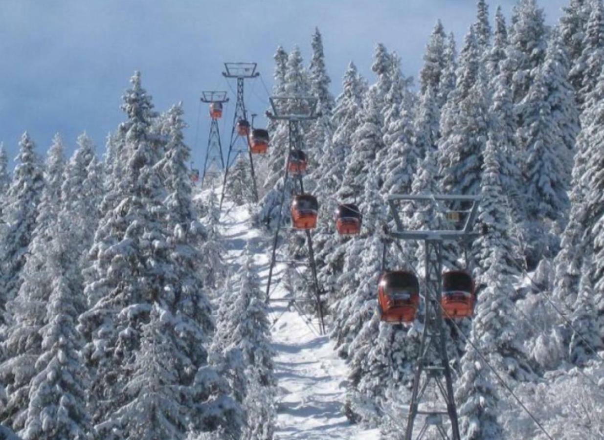 Borovets Gardens Studio D36 Εξωτερικό φωτογραφία